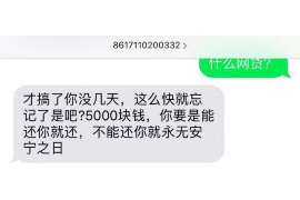 随县随县的要账公司在催收过程中的策略和技巧有哪些？